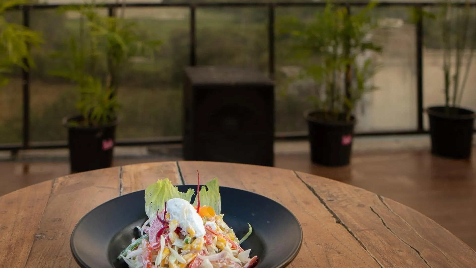 The Courtyard - Beyond Bar & Club Hotel Udaipur